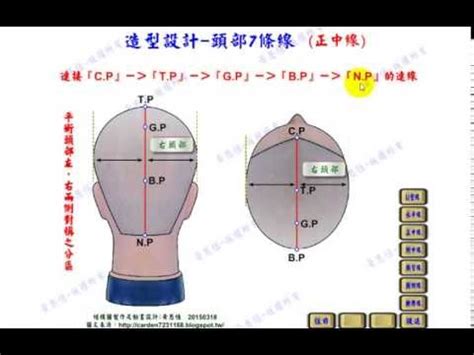 頭部七條基準線